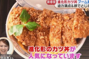 【画像】なんと俺たちが普段食ってる「カツ丼」はもう時代遅れだった‥‥フードジャーナリスト「今人気なのはこれなんです」
