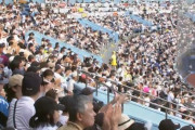 12球団の平均観客動員数を2019年と比較してみた結果、ロッテようやりすぎとる