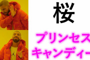 海外「ちなみにうちの国では…」日本のキラキラネーム事例を紹介した動画に注目