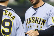 【阪神】ゲラが今春４試合連続無失点　11球粘る源田抑え３者凡退「感覚はすごくよかった」
