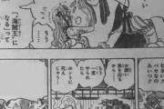 【悲報】ワンピースのナミさん、自分の命惜しさにルフィの夢を貶す