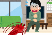 エビ「見た目ほぼ虫です、キモいです」 ← こいつが天下取った理由