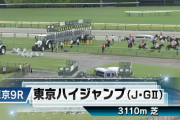 【東京ハイジャンプ】ゼノヴァース＆森一馬騎手がｷﾀ━━━━(ﾟ∀ﾟ)━━━━!!