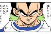 【ドラゴンボール】ベジータさん、余りにも独り言が多すぎるｗｗｗ
