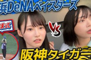【始球式&プロ野球観戦】ベイ党vs虎党！熱き戦いに大興奮！【in横浜スタジアム】