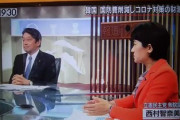 【ブーメラン】立憲民主党・西村智奈美「F35を何故予約しなければいけなかったのか」自民党・小野寺五典「民主党政権」西「沢山買わされた」 小「それも民主党」→コントかよｗｗｗ