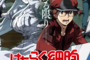 「はたらく細胞BLACK」2021年1月TVアニメ化決定＆キービジュ・PV公開！赤血球役は榎木淳弥さん