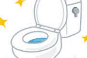 プロがオススメしてくれたトイレ用洗剤、マジでピカピカになると話題に！これは試してみる価値あり！！