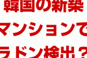 韓国の新築マンションは発ガン性物質でできていた！？　欠陥住宅だらけ？どういうこと？