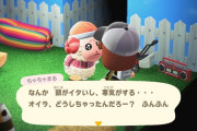 【あつまれ どうぶつの森】ちゃちゃまるが可愛すぎるｗｗｗｗ