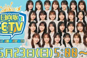 【アーカイブ④】ひなたフェス開催決定記念！日向坂46時間TV〜全国おひさま化計画〜