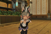 【FF14】ララフェル「この装備見て！いいでしょ！」　ワイ「小さすぎて分からないんだけど・・・」