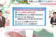 矢野燿大さん（元阪神監督）チュニドラビジネスで荒稼ぎ