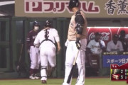 日ハム中田のプロテクター破壊打法ｗｗｗｗｗｗｗｗ