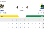 【試合結果】ヤクルト0-4阪神　吉村6回途中3失点で完封負け