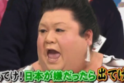 「日本が嫌なら日本から出てけ」←これ