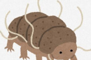 【悲報】クマムシ明らかに地球内生命体では無いことが判明ＷＷＷＷＷＷＷＷＷＷＷＷＷＷＷＷＷＷＷ