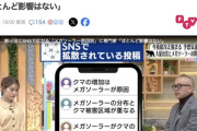 熊出没にSNSで広がる「メガソーラー原因説」に専門家「ほとんど影響はない」