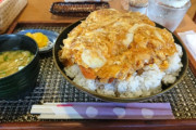 【画像】カツ丼には致命的な「欠点」が存在する・・・。賢い奴なら誰もが知っている・・・