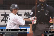 ロッテ藤岡裕大 .253 1本 OPS.674 UZR+4.9