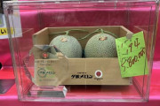 580万円のメロン見てきた🍈