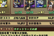 【パズドラ】ガチャドラって2体必須？