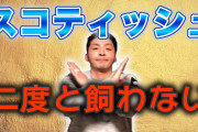 【鬼畜】42歳無職男性「20万円で買った生後3カ月の猫死んだから、新しい猫と交換して」→ 動物愛護法違反の疑いで逮捕??