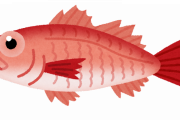 【衝撃】ガチで過大評価されてる「魚」と言えばコチラｗｗｗｗｗ