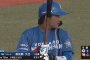 日ハム奈良間大己(2軍).414(29-12) 3打点 OPS.900
