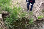 【動画】行方不明の4歳児を川で見つけた警察さん、悠長に靴下を脱ぐ