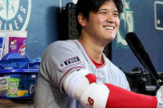 大谷翔平 .286 2本 6打点　1勝0敗12回1失点防御率0.75 18奪三振