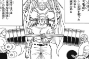 【疑問】HUNTER×HUNTERの王位継承編、楽しく読んでるやつおるのか？ｗｗｗ