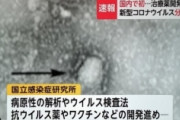 コロナウイルスしょぼいと判明。未だ国内での死者ゼロ