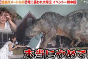 【動画】【大号泣】辻希美、全長8メートルの恐竜に襲われイベント一時中断 会場内を逃げ回る