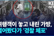 韓国の地下鉄にキャリーバッグを置き忘れた日本人観光客、大金を盗まれる＝ネット「ああ恥ずかしい。申し訳ない」