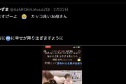 【動画】四肢欠損女性さん、子供を作ってXで叩かれまくり炎上……