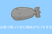 日本の台風で天井を突き破って降ってきた「変な物体」がヤバすぎる！【台湾人の反応】
