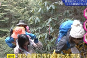 【櫻坂46】登山をしながら"ノバフォ"を歌う森田村にガイドさんが的確なツッコミw