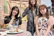 【画像】松屋声優の園崎未恵さん、ロリータ声優二人のかーちゃんみたいになる