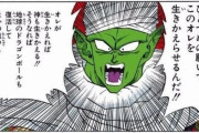 ピッコロ「生き返った俺をナメック星に飛ばしてくれ」 ← コイツ何言ってんの？