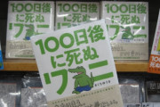 【酷すぎ】100日ワニの単行本が発売 ⇒ 描き下ろし”漫画”28ページのうち20ページは挿絵が入ってるだけの実質白紙で4コマは8ページのみｗｗｗ