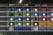 5月の阪神タイガース20戦16勝4敗wwwwwwwwwwwwwwwwwwwwwwwwwwwwwwwwwwwwwwwwwwwwwwwwww
