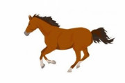 「ふざけた名前やな」と思って姿を見てたら納得した競走馬