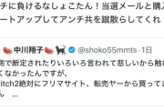 【悲報】X民「しょこたん頑張れ！当選メールアップしてアンチを蹴散らせ！ﾄﾞﾝｯ」7.8万ｲｲﾈ