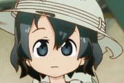 けものフレンズって何かキッカケがあれば再ブレイクしそうな雰囲気あるよな…