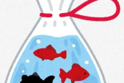 祭りでゲットした金魚ってその辺の川に捨てたら死ぬの？