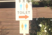 皇居のトイレに落書きした男「トイレに立ち寄った時急に思いついて書いた」近くのマンホールにも落書き見つかる