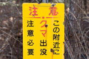 なぜ猟友会の“クマ駆除拒否”が頻発するのか…「我々を都合よく利用するのだけはやめてもらいたい」現役ハンター指摘