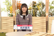 【乃木坂46】向井葉月と将棋と競馬・・・