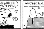 スヌーピー「配られたカードで勝負するしかないのさ」ワイ「…」